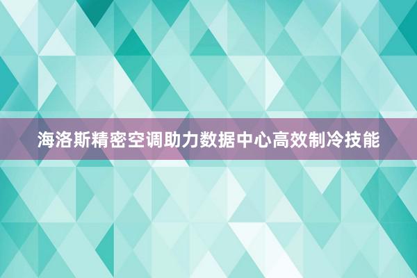 海洛斯精密空调助力数据中心高效制冷技能